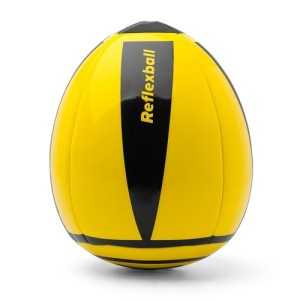 Ballon de gardien - Reflex ball