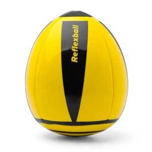 Goalkeeper ball - Reflex ball