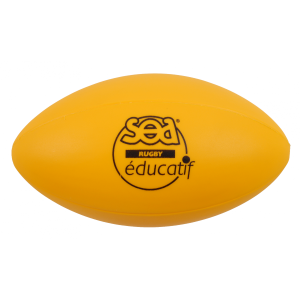 Educational rugby ball