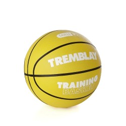 Ballon training basketball...