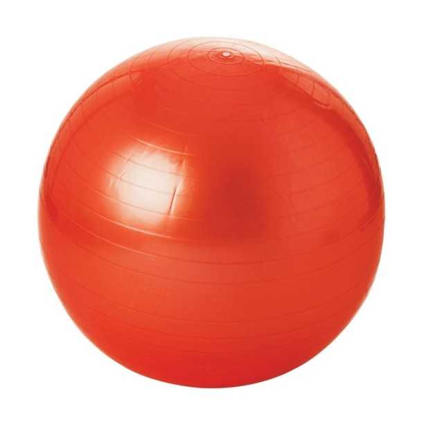 Gymball 55cm